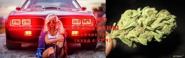 Альфа ПВП Сосновоборск