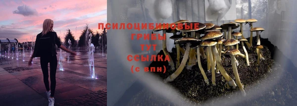 Альфа ПВП Сосновоборск