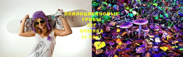Альфа ПВП Сосновоборск